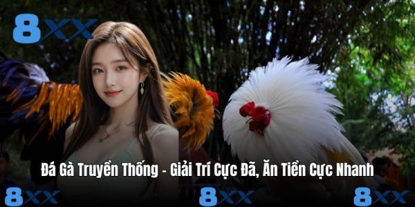 Đá Gà Truyền Thống - Giải Trí Cực Đã, Ăn Tiền Cực Nhanh